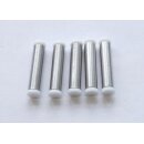 ProntoSIL 60-5-Enviro-PTL 20x4.0 mm Pack with 5 guard...